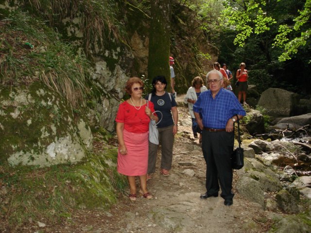 dsc00154.jpg