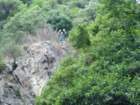dsc00166_small.jpg