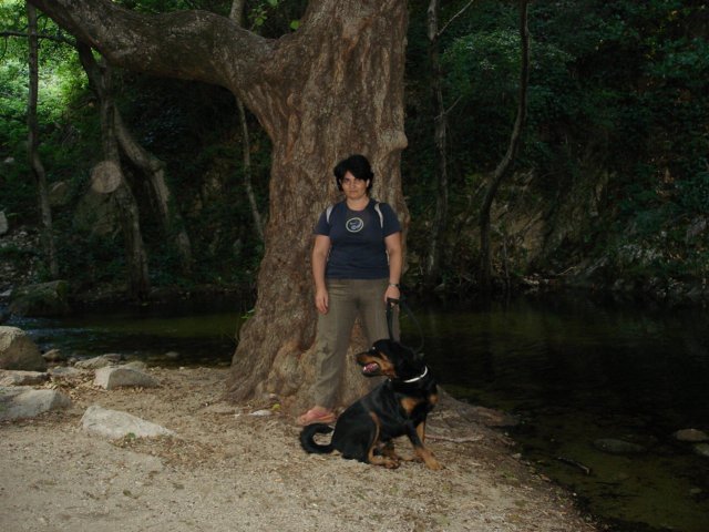 dsc00174.jpg